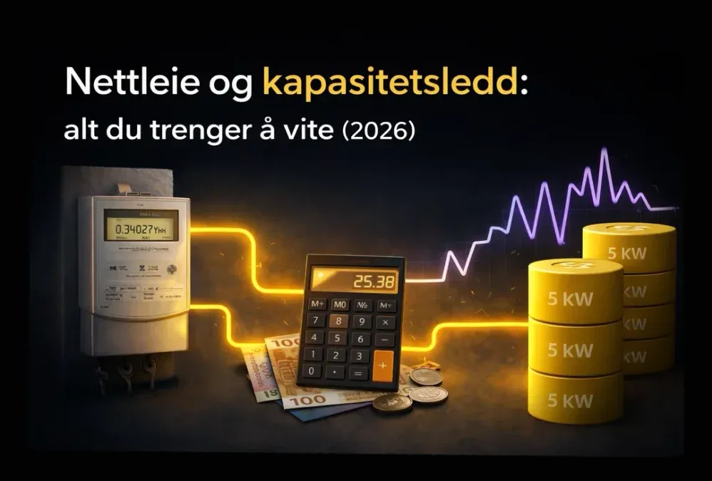 Nettleie og kapasitetsledd: alt du trenger å vite (2026) - Wattoshi