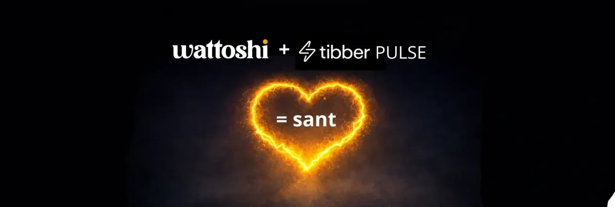 Slik kobler du Tibber Pulse til Wattoshi - Wattoshi